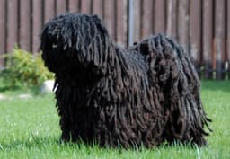 Thumbnail Image ryPgVl5N7