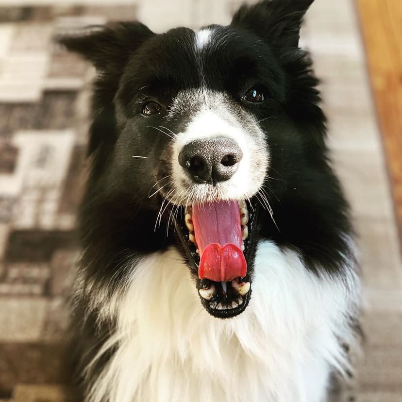 Selected Image z3N-noGqn